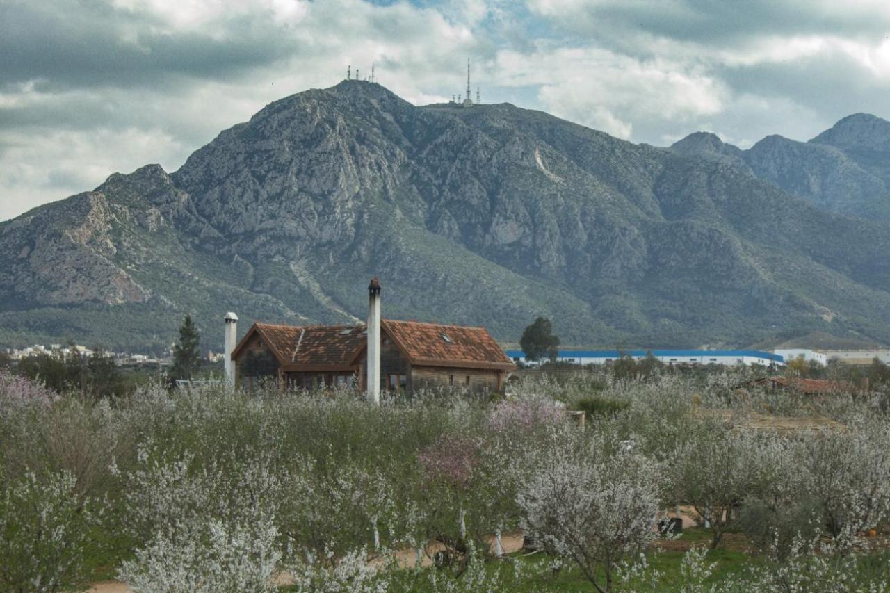 Hotel Dar Zaghouan Zewnętrze zdjęcie